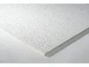 Dalle de faux plafond Thermatex Fresko 122x61x1,5 cm (L)