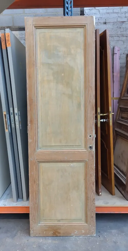 Porte pleine à 2 panneaux 230x71x3,5 cm (L)