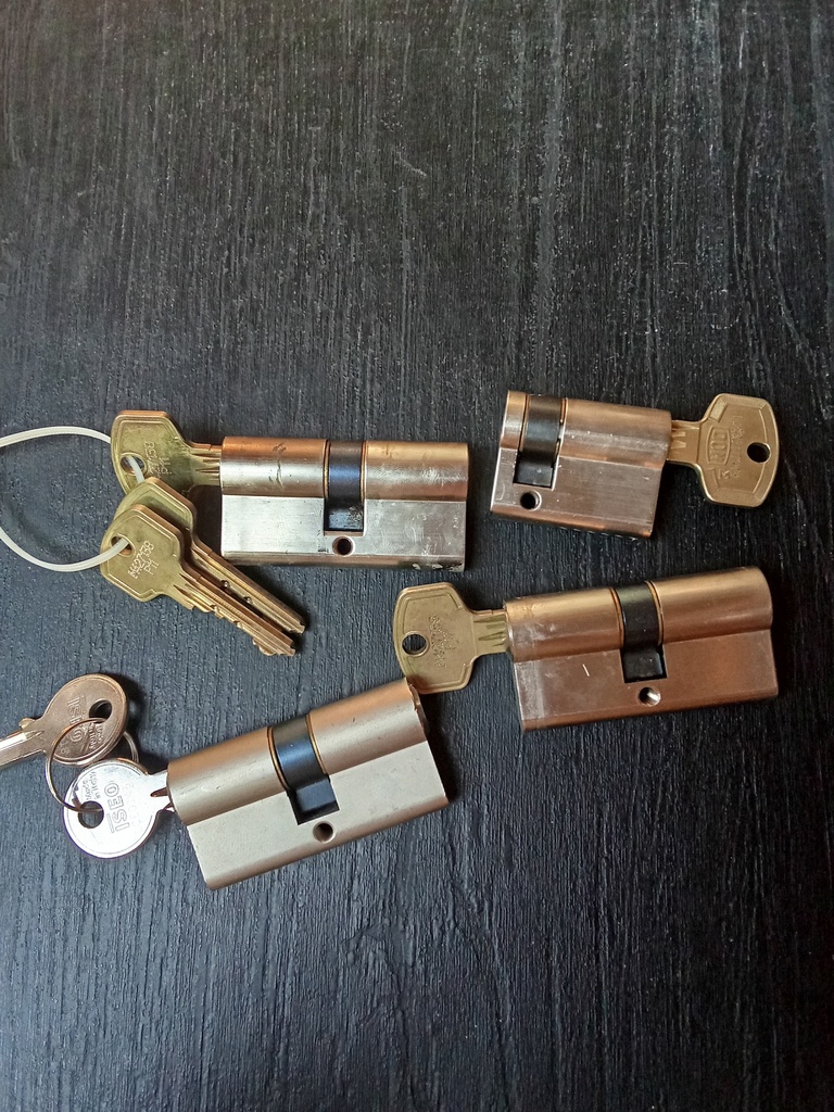 Cylindre de porte (1 clé)