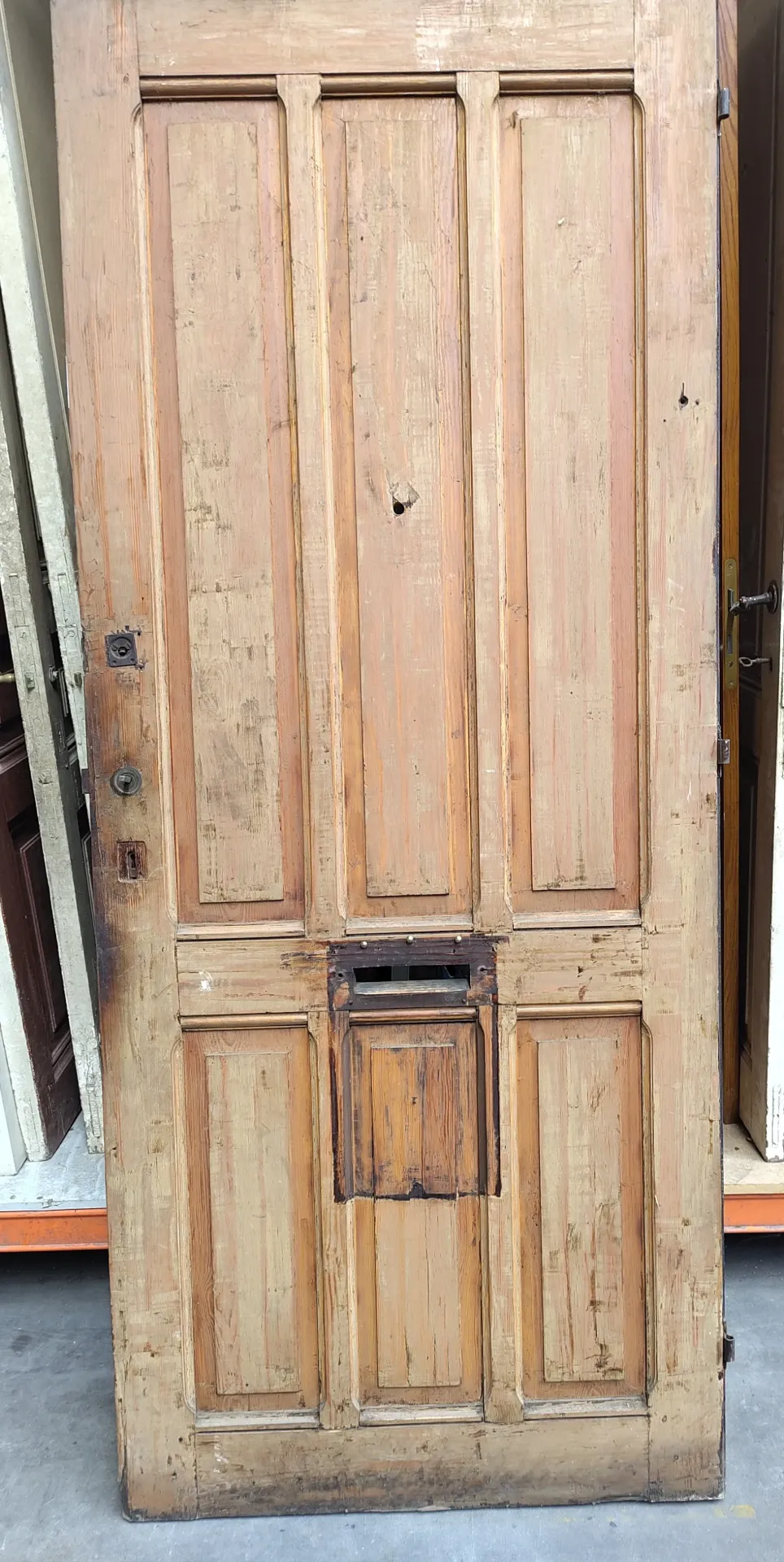 Porte extérieure 228x91x3,5 cm (L)